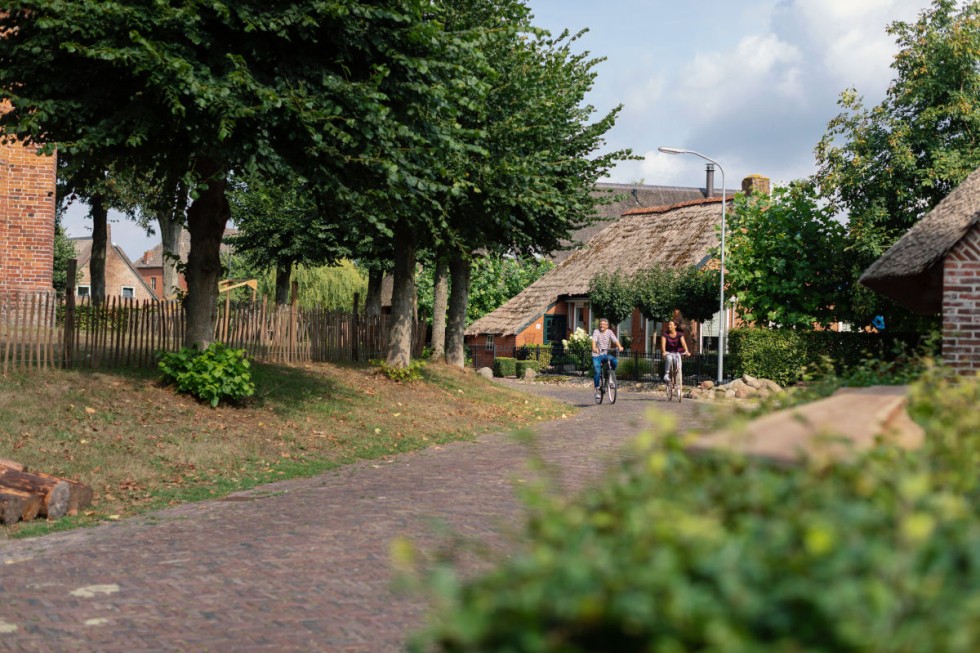 banner rolde.jpg