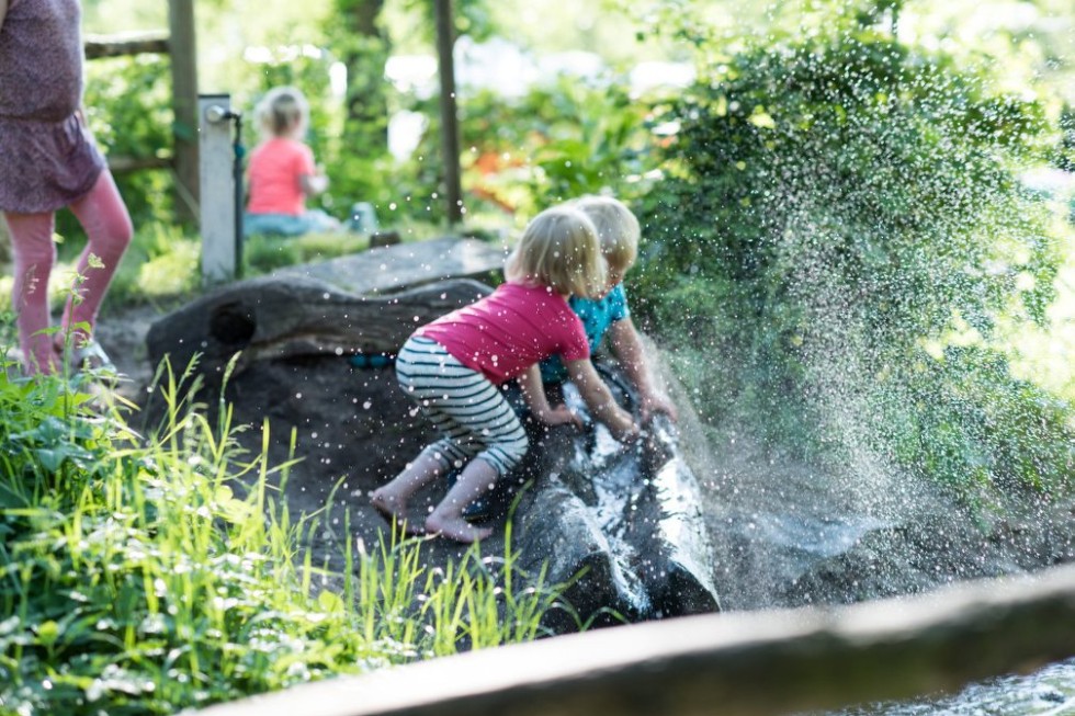 Natuurlijke speelplaats tentenveld.jpg