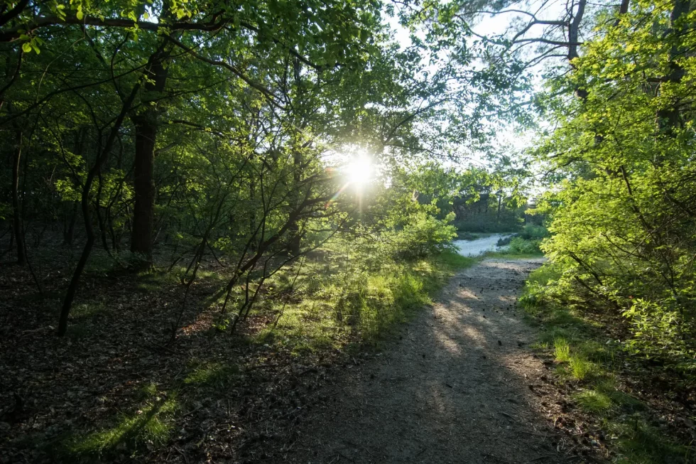 Zandkuil achter de camping