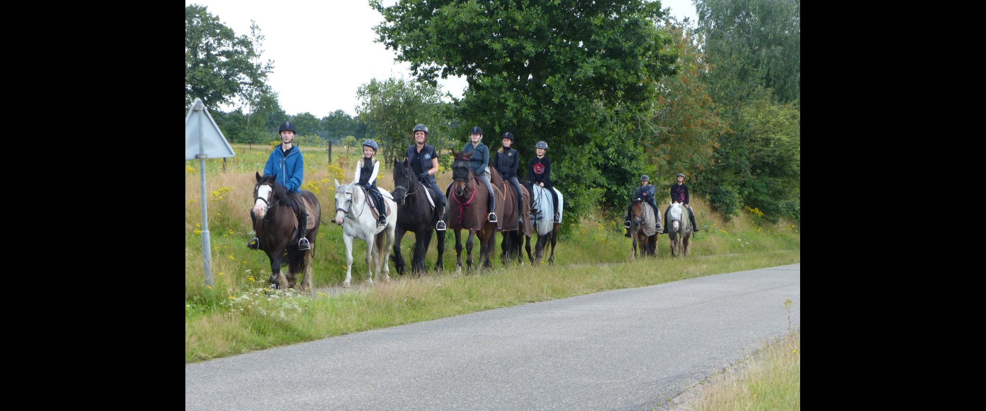 Paardrijden in gasselte.jpg