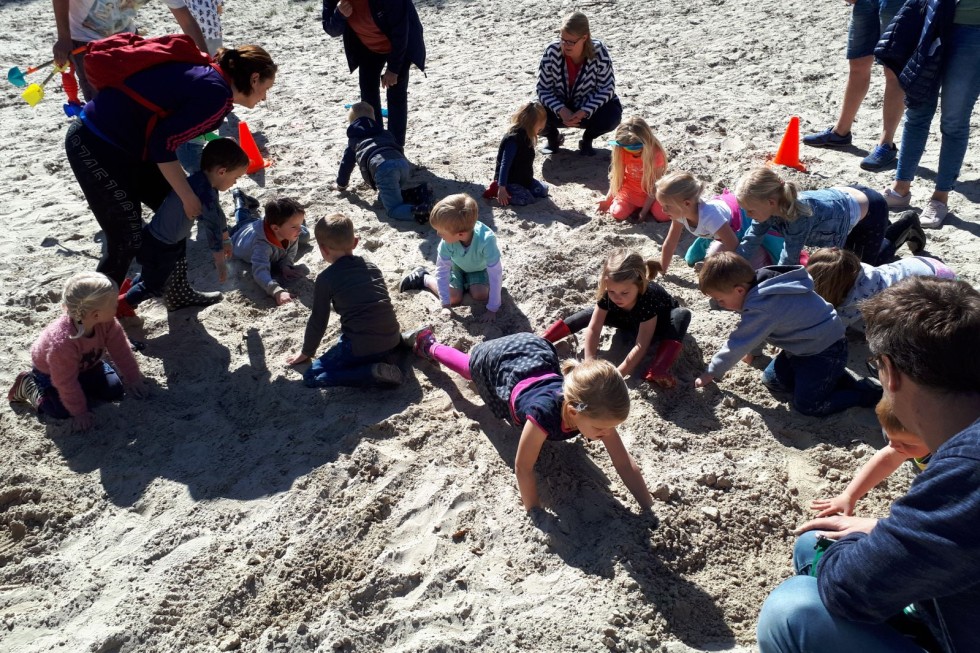 Recreatieprogramma Camping de berken.jpeg