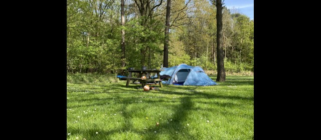 tentenveld camping de berken.jpeg