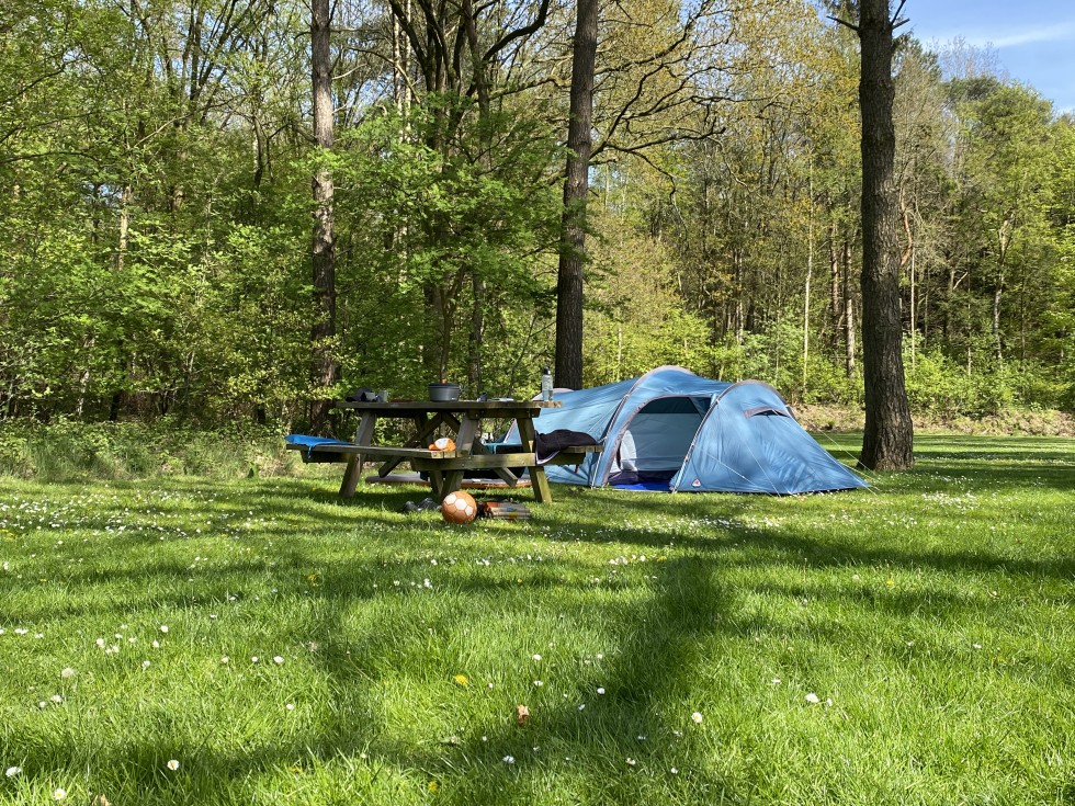tentenveld camping de berken.jpeg