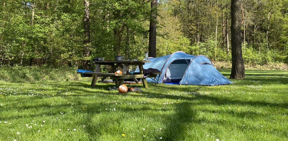 tentenveld camping de berken.jpeg