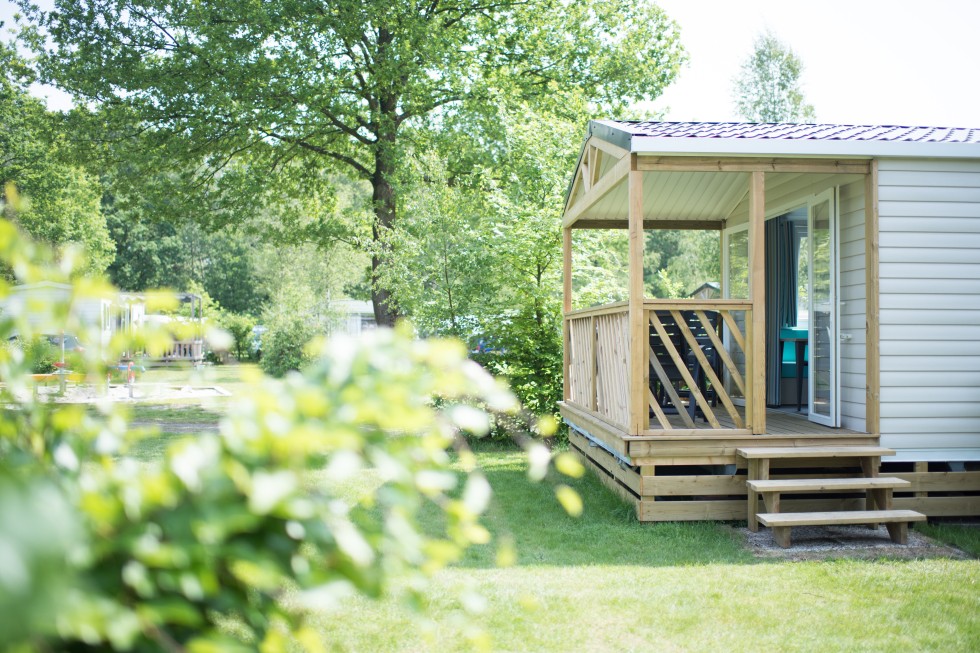 Chalet met frontkamer in Drenthe