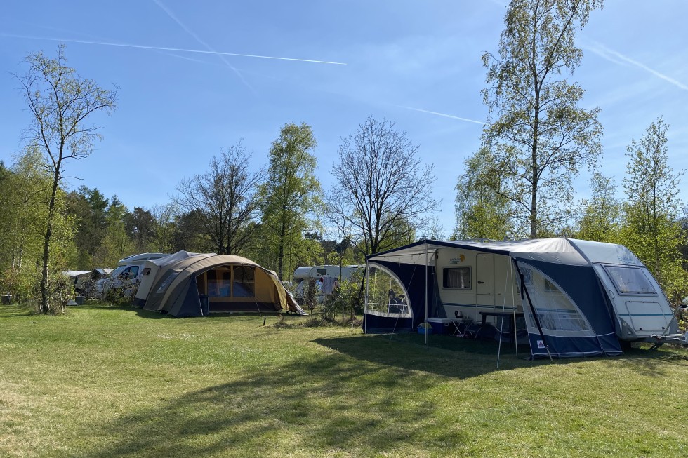 kamperen op camping de berken in drenthe.jpeg