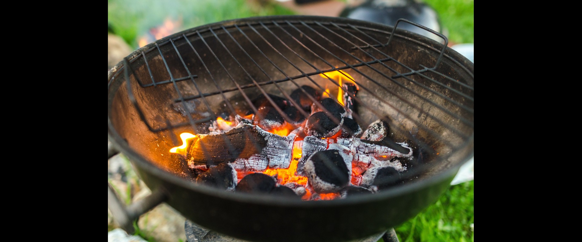 bbq verbod 2023.jpg