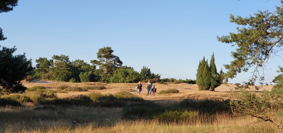 Drenthe Drouwenerzand.jpg