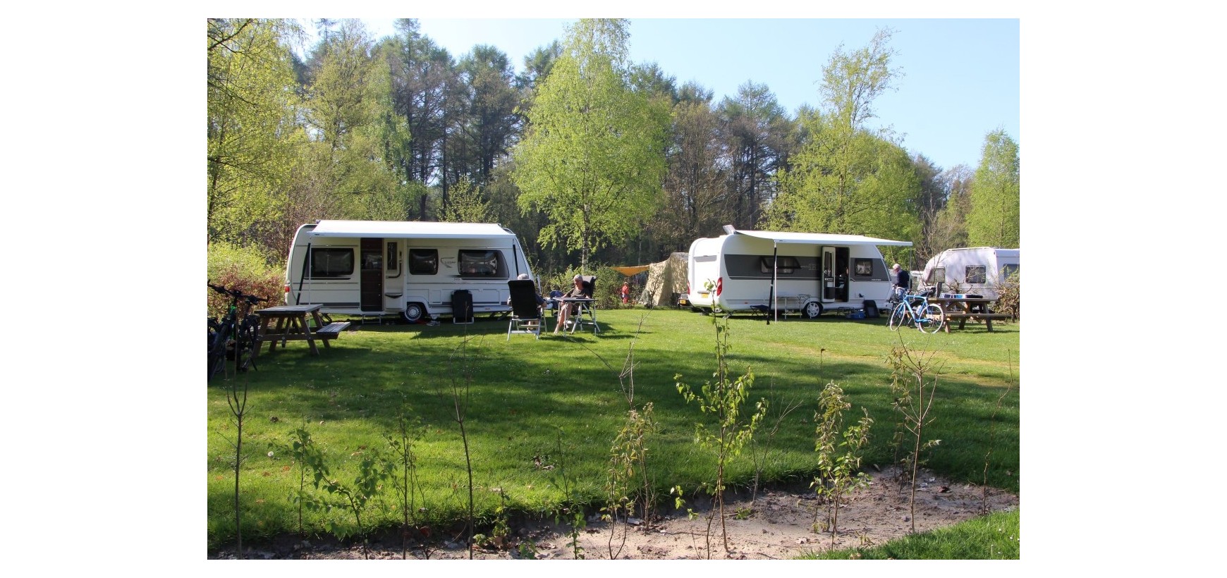 Extra Grote Comfortplaatsen Camping De Berken extra-grote-comfortplaatsen-camping-de-berken